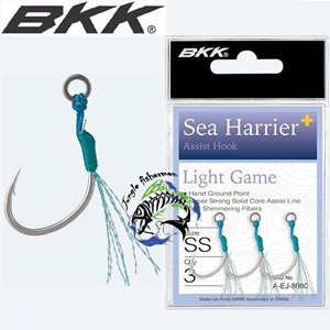 bkk - sea harrier a-ej-8084