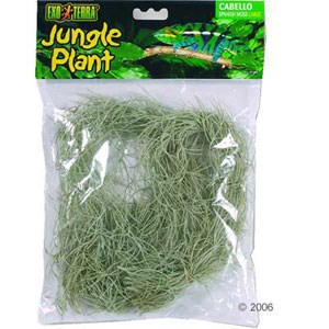 exo terra jungle plant cabello spanish moss small