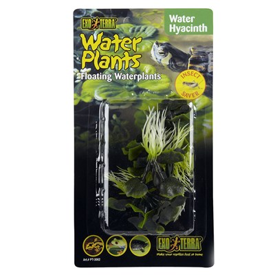 exo terra water plants water hyacinth