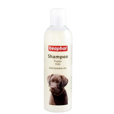 Beaphar Shampoo - שמפו לגורים - 250 ml