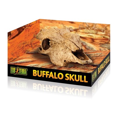 exo terra - buffalo skull