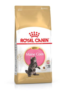 royal canin maine coon kitten 2kg