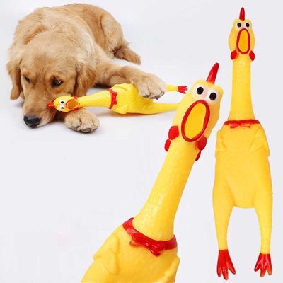 צעצוע תרנגול לכלב (40 ס״מ)