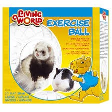 כדור תרגול לאוגרים גדול - Living World Exercise Ball (Large)
