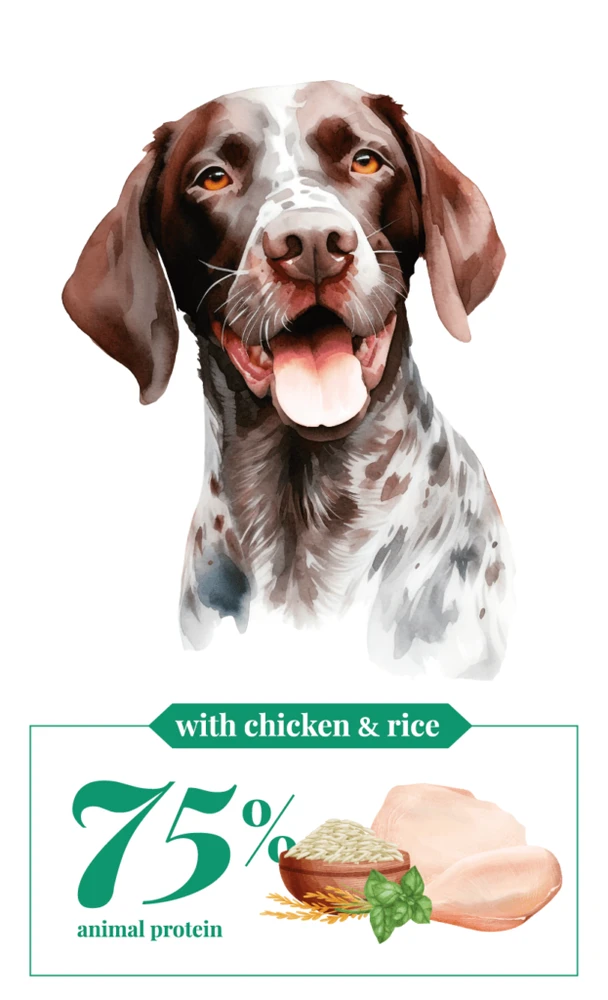 Cebican-Daily Care סיביקאן קוזמו כלב לטיפוח יומיומי עם עוף ואורז 12kg