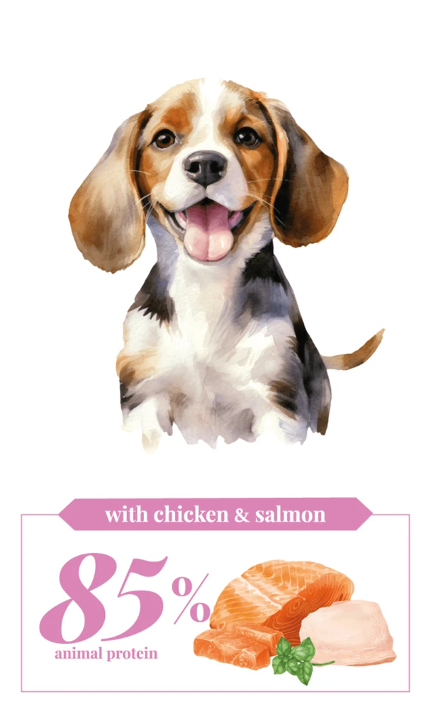 סיביקאן קוזמו כלב גורים ומניקות סלמון ועוף 3kg