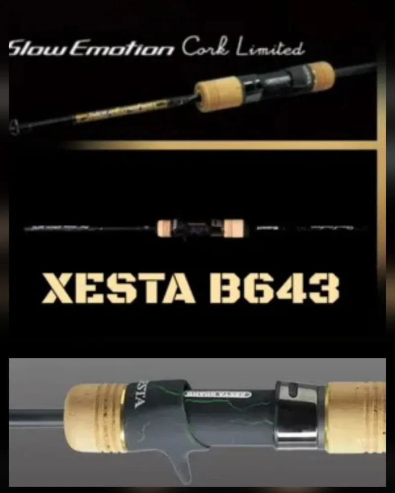 XESTA SLOW EMOTION B643 Cork Limited MAX300