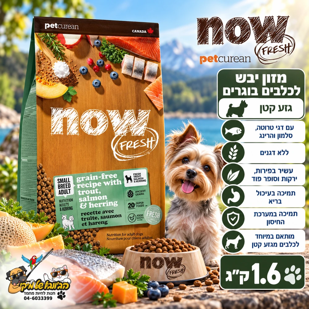 Now נאו 1.6 ק"ג מזון יבש ללא דגנים לכלבים בוגרים מגזע קטן בטעם דגים