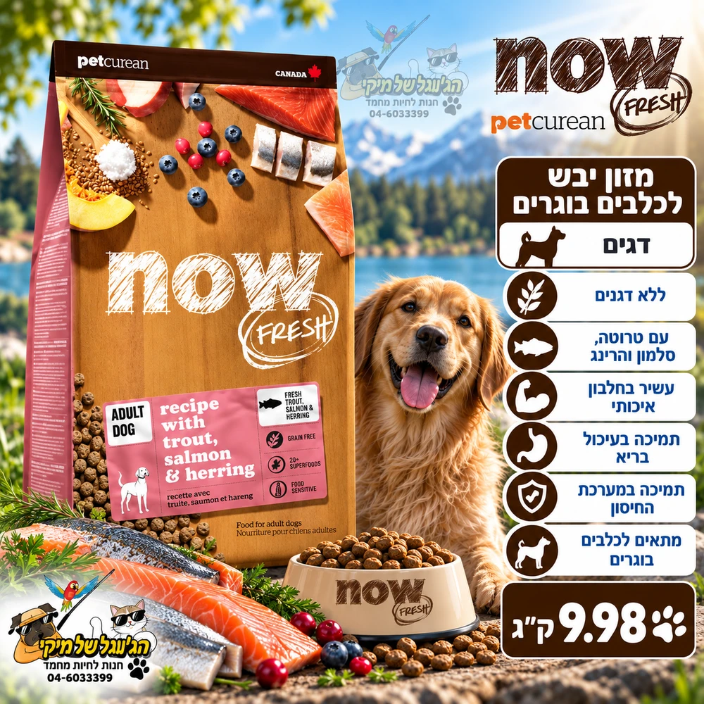 Now נאו מזון יבש ללא דגנים לכלבים בוגרים דגים 9.98kg
