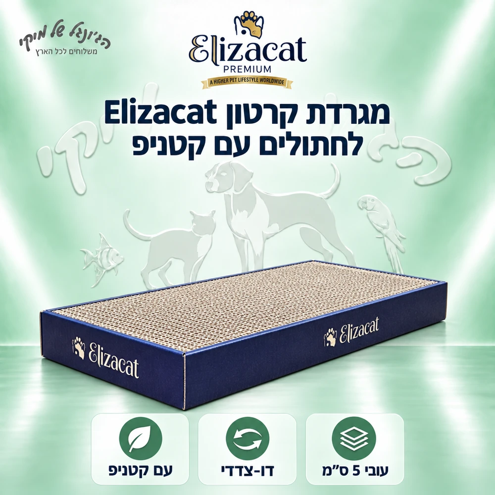 קרטון גרוד לחתול אליזקט