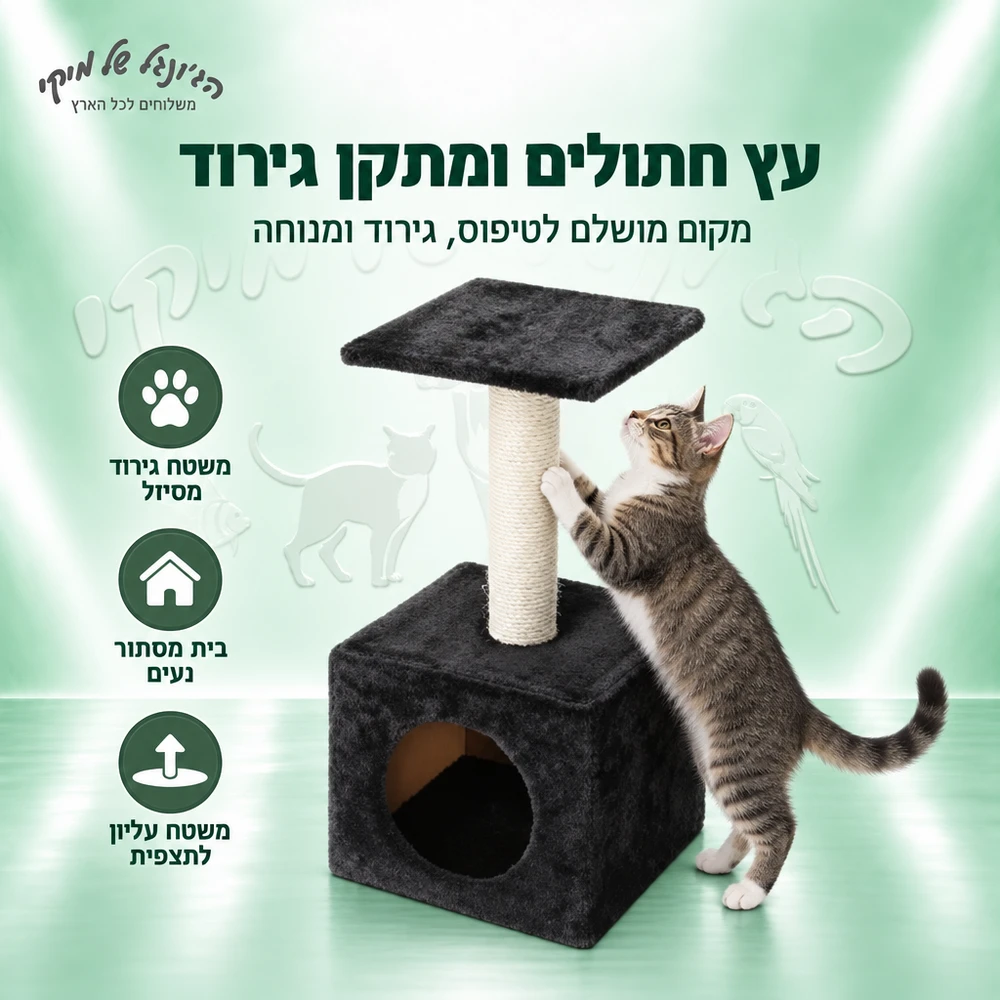 עץ חתולים ומתקן גירוד EBI Classic Abey שחור 60 ס״מ