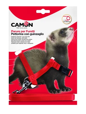 אביזרים למכרסמים