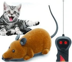 צעצועים לחתול