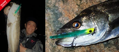 apia - hydro upper slim 100s/10g sinking 13