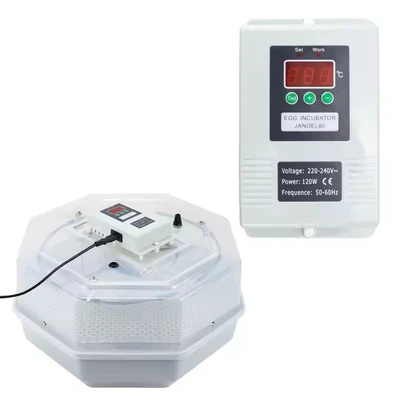 מדגרה אוטומט 60 בייצים