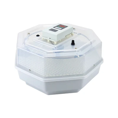 מדגרה אוטומט 60 בייצים