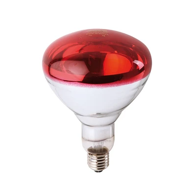 PHILIPS-נורת חימום 250W