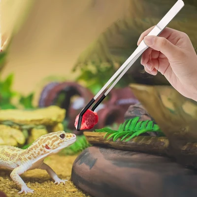 פינצטה 30 ס"מ