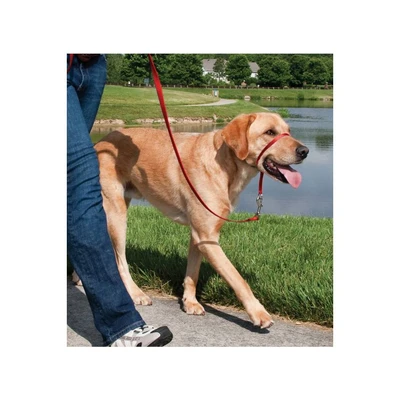 Easy Walk קולר ראש אדום 27 ק"ג - 59 ק"ג לכלבים גדולים של PetSafe.