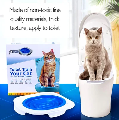 אימון חתול לאסלה