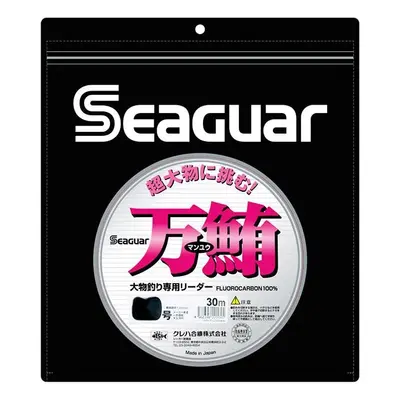 Seaguar MANYU 120 30m 341LB