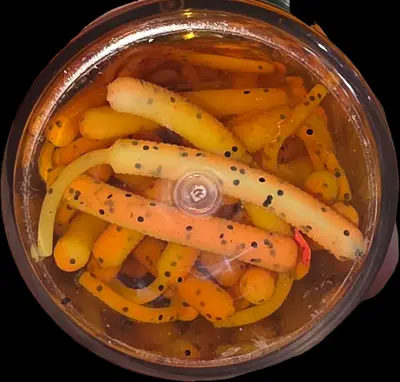 BERKLEY GULP ALIVE BABY SARDIN #OT