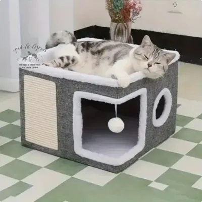 מיטות/כלובים