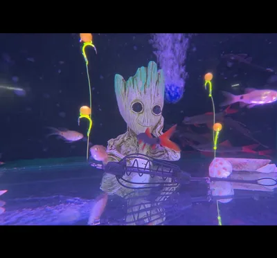 מיני פופ אפ וניל (מציף קרס)