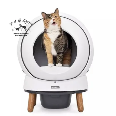 שירותים/תא נשיאה