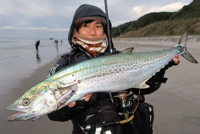 LONGIN HI STANDART 150MM 34G floating