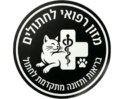 מזון יבש רפואי לחתול
