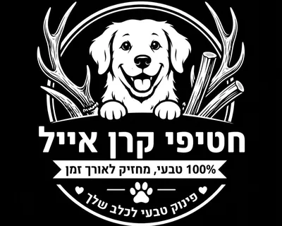 קרן אייל