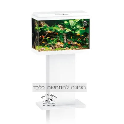 מעמד פרימו 50/60 לבן