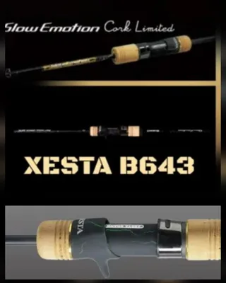 XESTA SLOW EMOTION B643 Cork Limited MAX300
