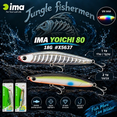 IMA YOICHI 80 18G X5637