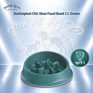 קערת האכלה איטית Stefanplast Chic Slow Food בנפח 1 ליטר – ירוקה