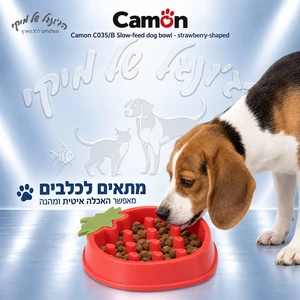 קערת האכלה איטית לכלבים Camon C035/B – תות, 18 ס״מ