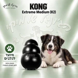 צעצוע לעיסה ומילוי לכלבים KONG קונג Extreme אקסטרים M שחור