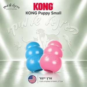 צעצוע גומי לגורים KONG Puppy Small (S)