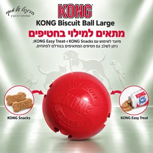 כדור חטיפים לכלבים KONG Biscuit Ball Classic Large (L)