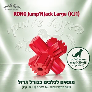 צעצוע לעיסה דנטלי KONG Jump'N Jack גדול (L) לכלבים, 10.5 ס״מ