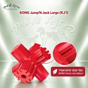 צעצוע לעיסה דנטלי KONG Jump'N Jack גדול (L) לכלבים, 10.5 ס״מ