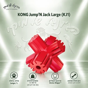 צעצוע לעיסה דנטלי KONG Jump'N Jack גדול (L) לכלבים, 10.5 ס״מ