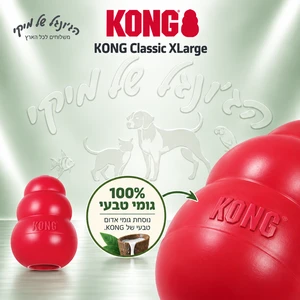 צעצוע לעיסה ומילוי מזון KONG Classic קונג קלאסי XL