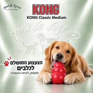 צעצוע העשרה ומילוי מזון לכלבים KONG Classic קונג קלאסי M אדום