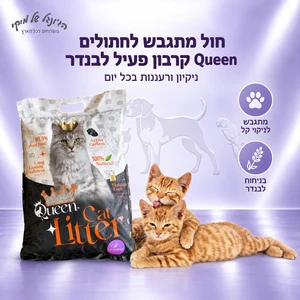 Queen חול מתגבש קווין קרבון 10 ליטר
