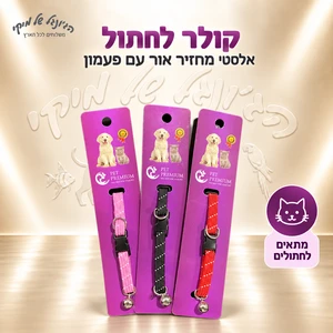 קולר אלסטי לחתול עם פעמון מחזיר אור