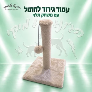 עמוד גירוד לחתול Icat עם משחק תלוי 34 ס״מ