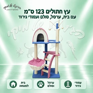 עץ חתולים 123 ס״מ עם בית, ערסל, סולם ועמודי גירוד