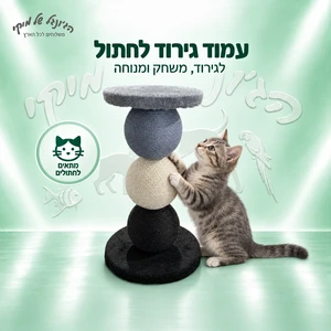 עמוד גירוד לחתול O&B עם 3 כדורים ומשטח מנוחה, 30×30×50 ס״מ